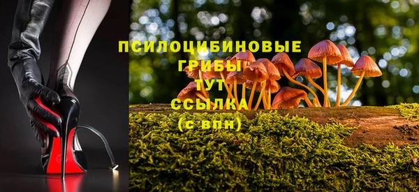 прущая мука Медвежьегорск